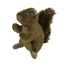 Chien écureuil sauvage