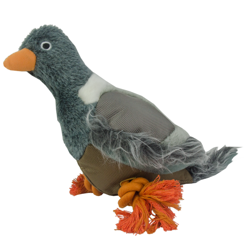 Chien-pigeon sauvage