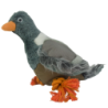 Chien-pigeon sauvage