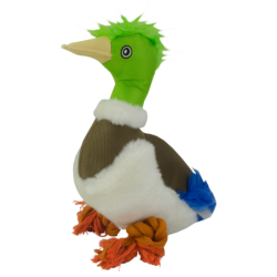 Chien Canard Sauvage