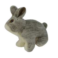 Chien et lapin sauvages