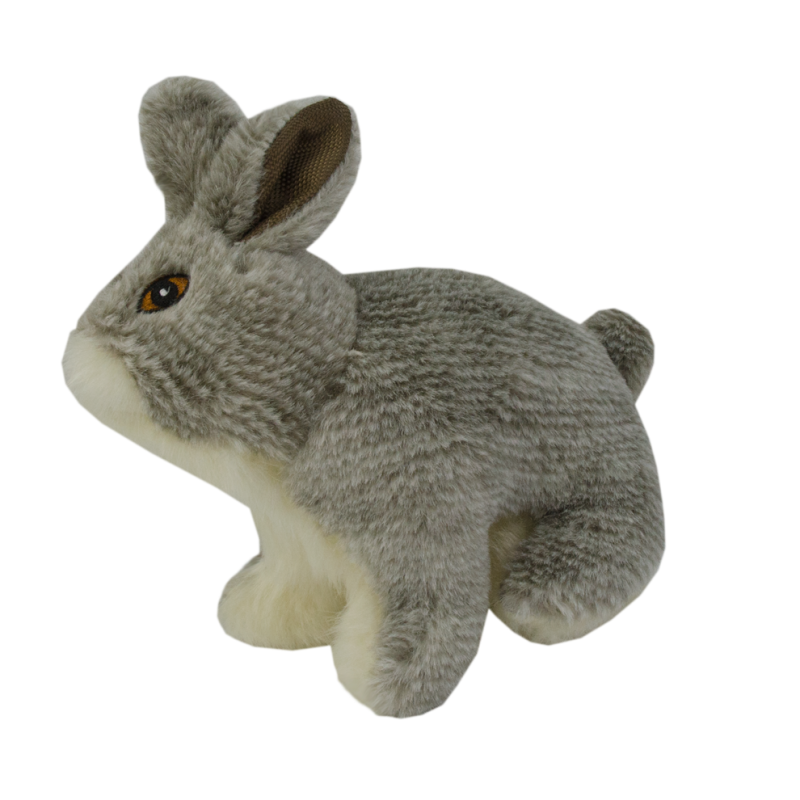 Chien et lapin sauvages