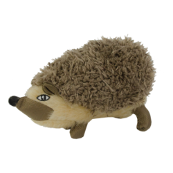 Chien hérisson sauvage