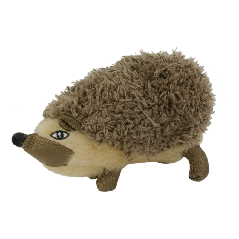 Chien hérisson sauvage