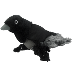 Chien Corbeau de la vie...