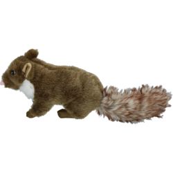 Martre à chien sauvage