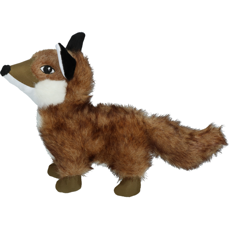 Chien Renard Sauvage