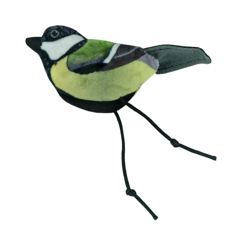 Chat sauvage Mésange charbonnière