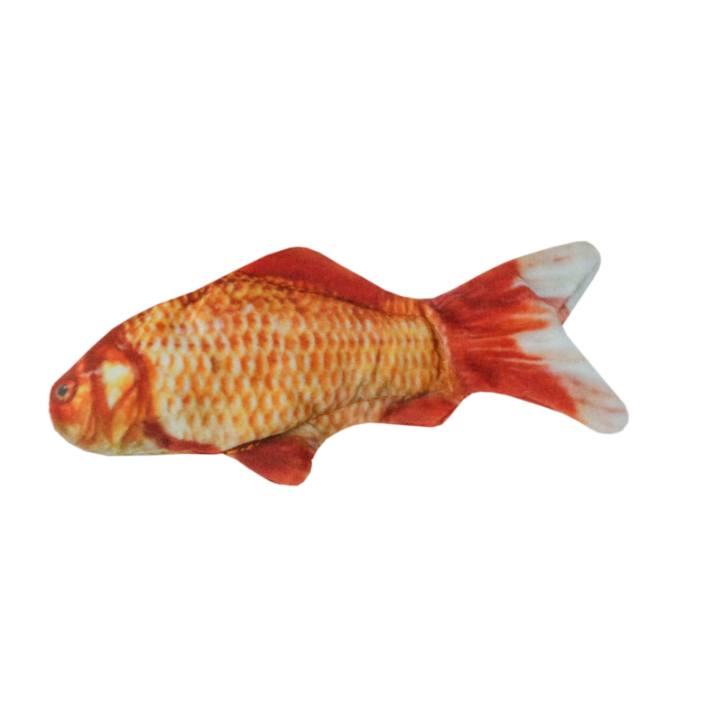 Chat sauvage Poisson rouge