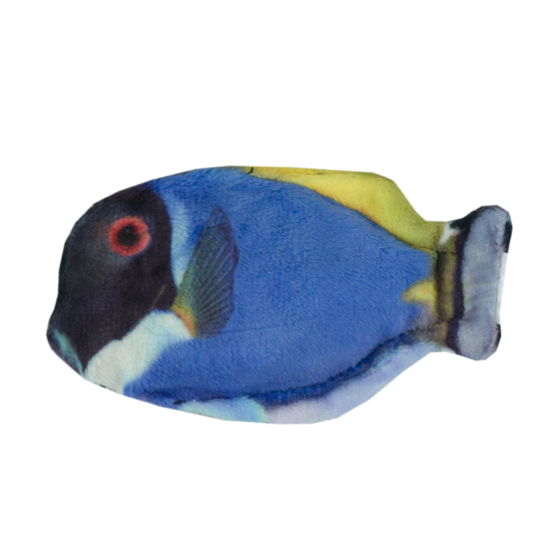 Chat sauvage Blue Tang