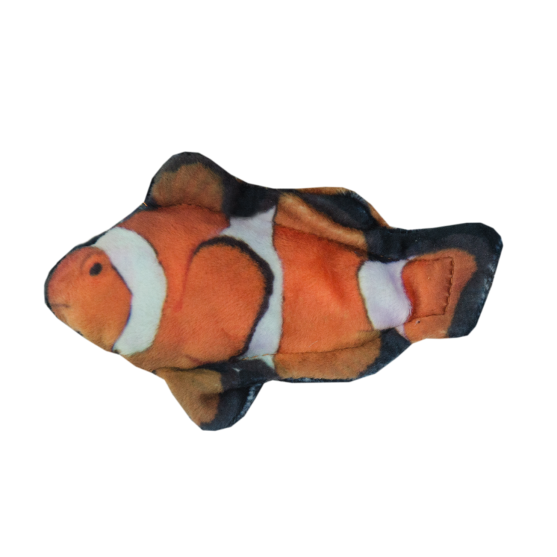 Poisson-clown chat sauvage