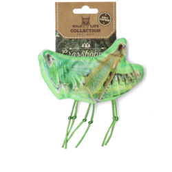 Sauterelle à chat sauvage