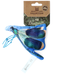 Libellule chat sauvage