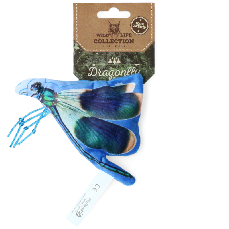 Libellule chat sauvage