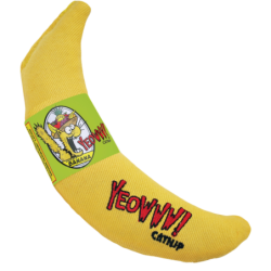 Ouah ! Banane Chicata