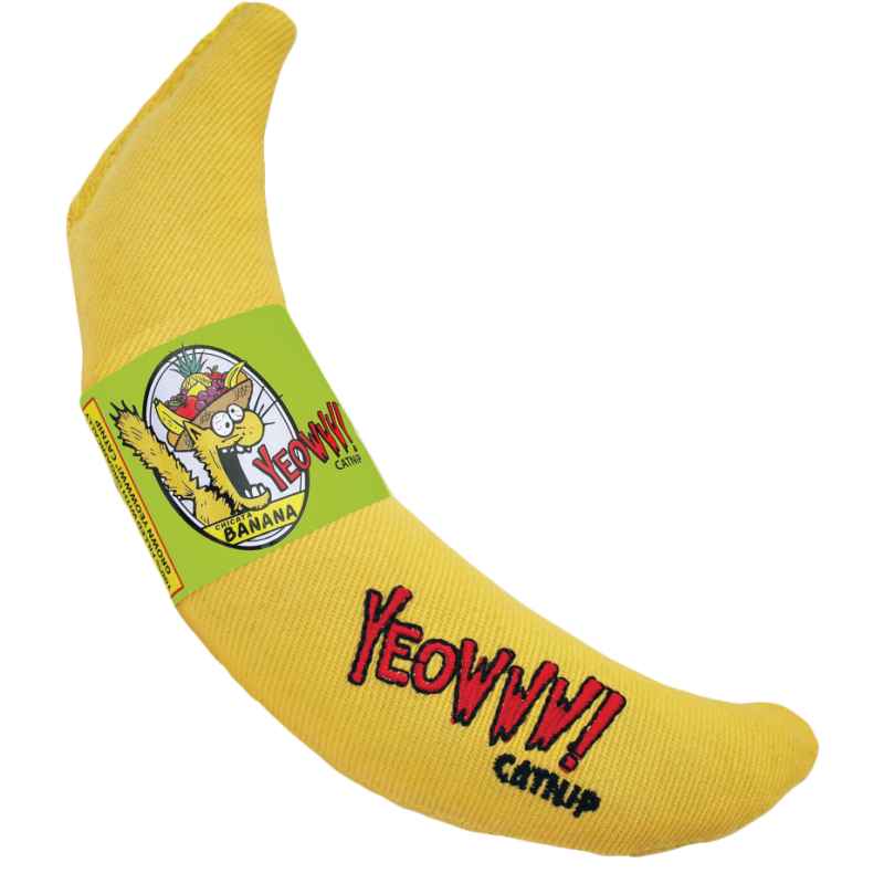 Ouah ! Banane Chicata