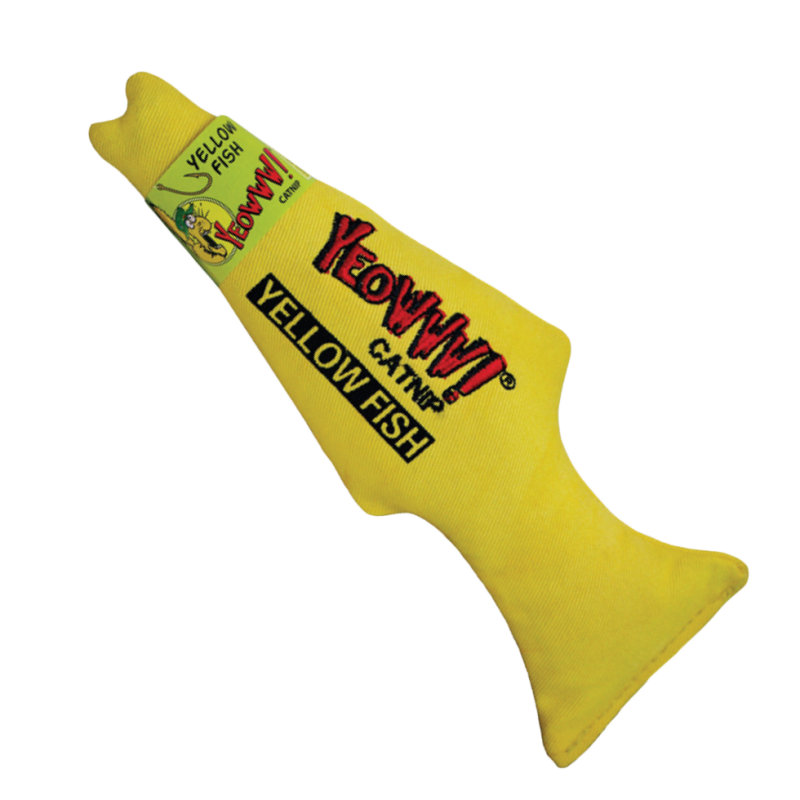 Ouah ! Poisson jaune