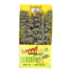 Ouah ! Des bourgeons...