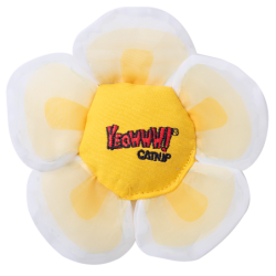 Ouah ! Les fleurs blanches...