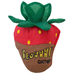 Ouah ! Fraise Chocolat