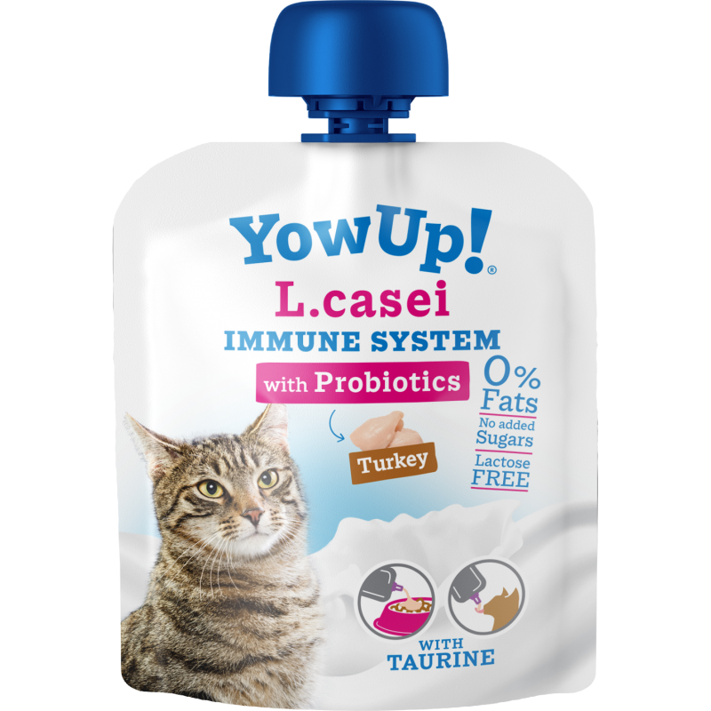 YowUp! L. Casei Système immunitaire Chat Dinde