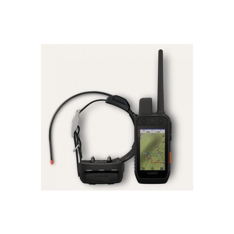 Pack GPS Garmin Alpha 200 F avec collier TT25