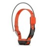 Collier de suivi  GPS Garmin T20 F