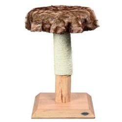 Arbre à chat naturel Etosha