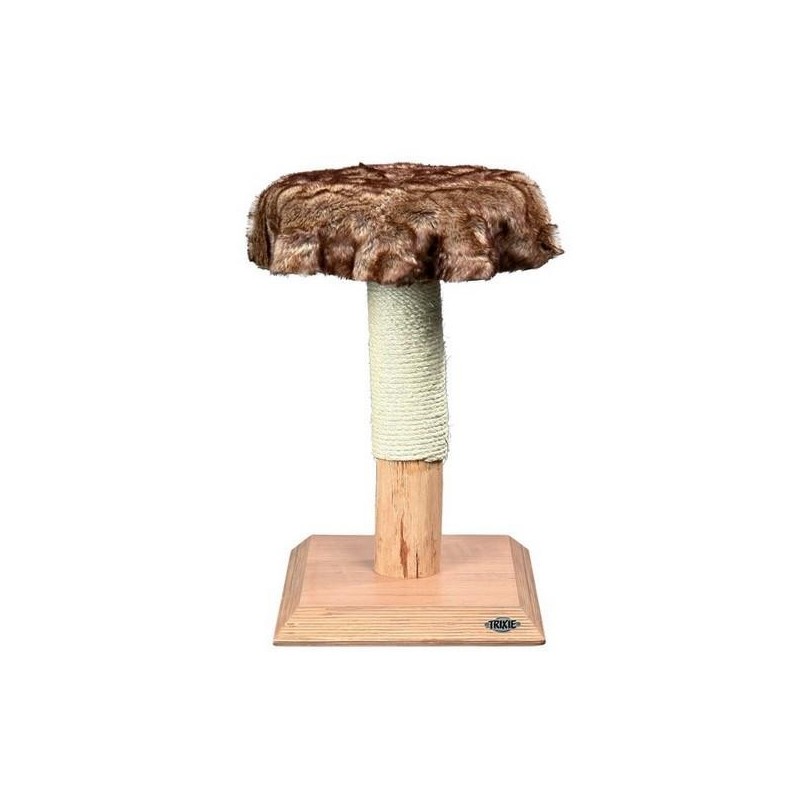 Arbre à chat naturel Etosha