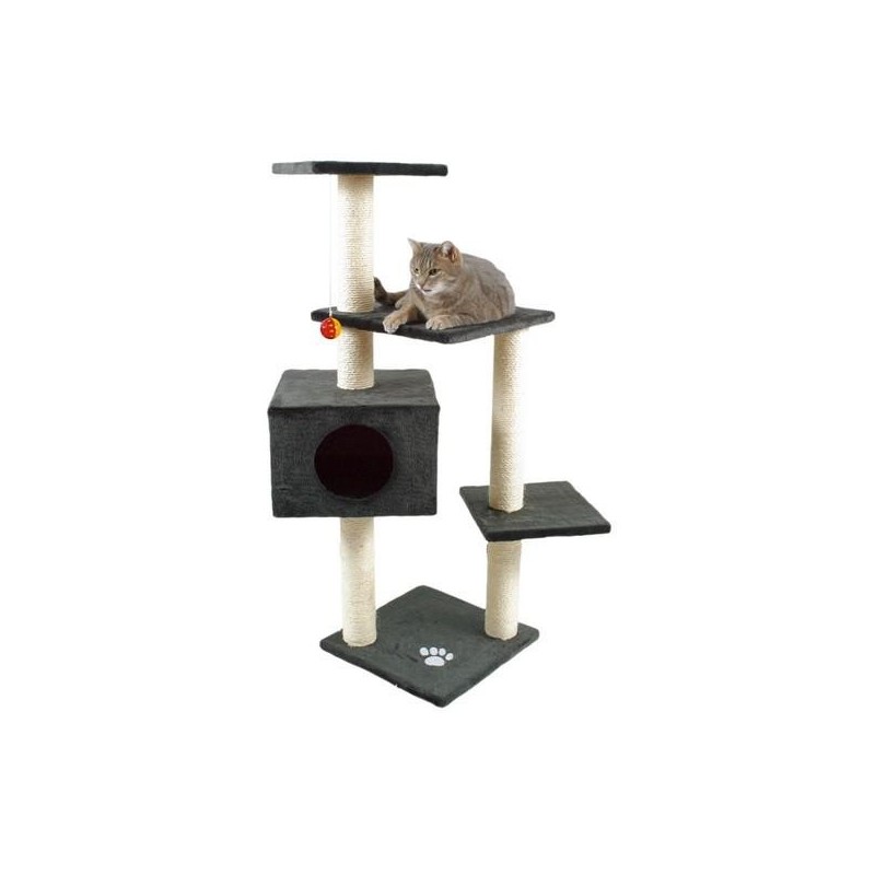 Palamos - Arbre à chat