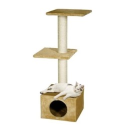 Brillant - Arbre à chat