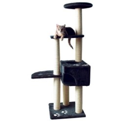 Alicante - Arbre à chat