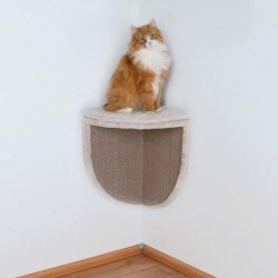 Griffoir mural / plateau...