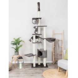 Madrid - Arbre à chat