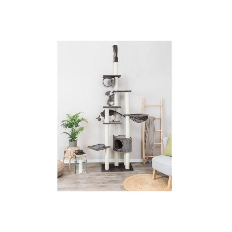 Madrid - Arbre à chat