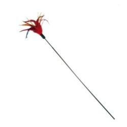 Fouet à plumes chat