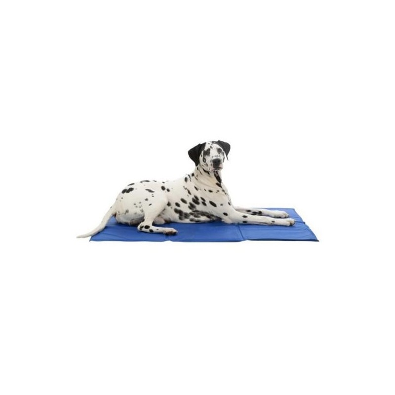 Matelas Rafraichissant Taille : 40 x 30 cm