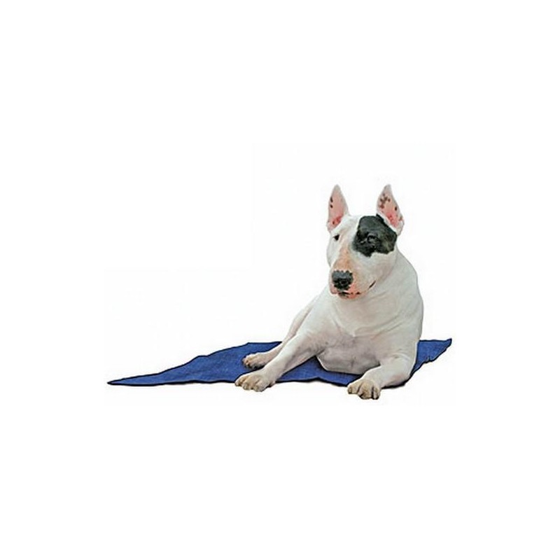 Tapis rafraîchissant pour chien