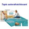 Tapis auto rafraichissant pour chien Taille : M - 80 x 55 cm