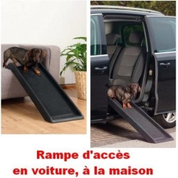 Rampe d’accès pour chiens...