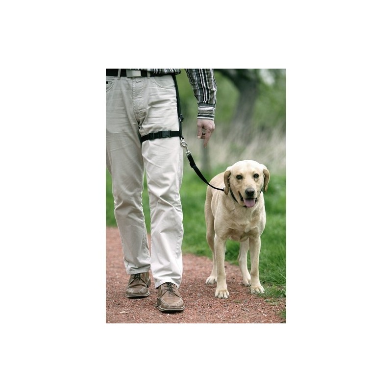 Leg Leader - Laisse de conduite pour chien