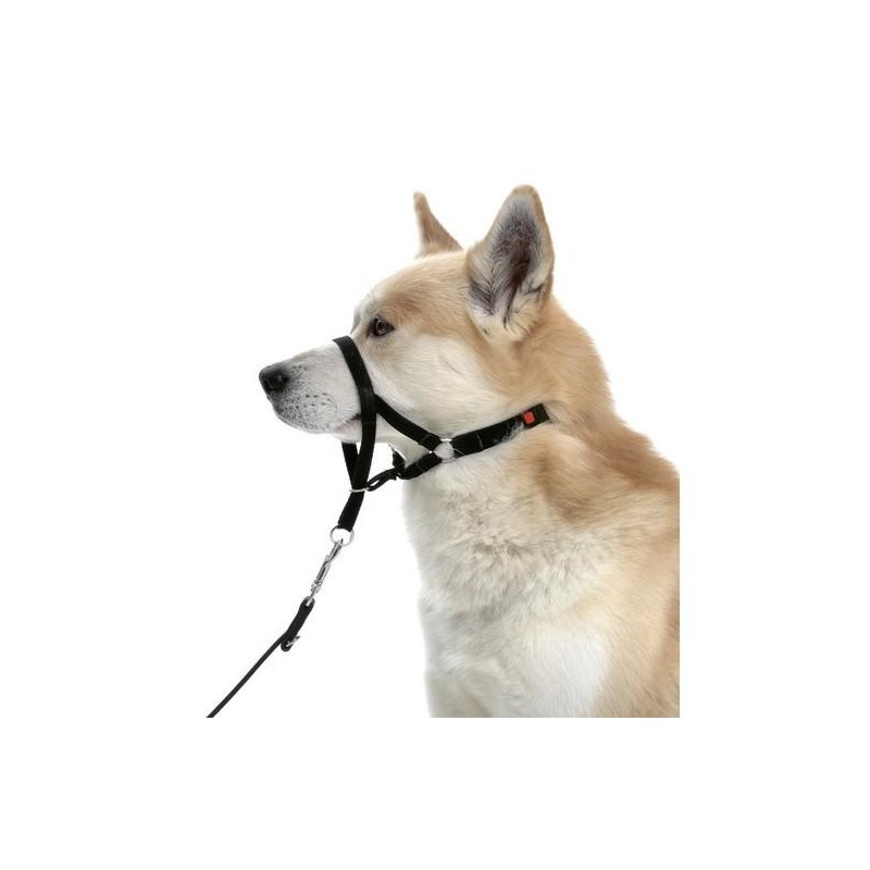 Collier d’éducation Dog Control type Halti Taille : 4 / M
