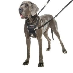 Harnais anti-traction HALTI...