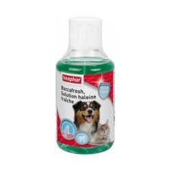 Solution haleine fraîche...