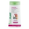 Shampooing IdéalPlant au chevrefeuille