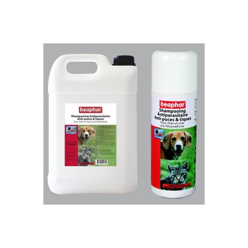 Shampoing antiparasitaire à la Tétraméthrine