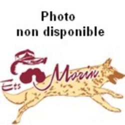 Shampooing Citron pour...