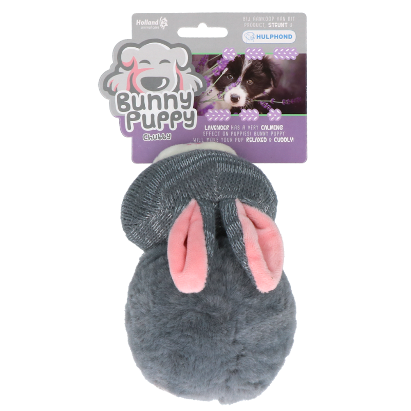 Lapin chiot joufflu