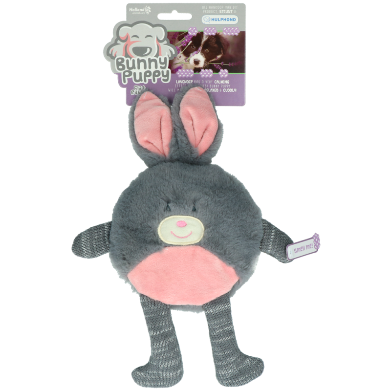 Lapin Chiot Lapin Plat