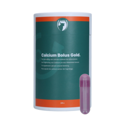 Excellent bolus de calcium...
